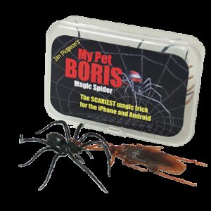 Magic Spider PRO-PACK par My Pet Spider
