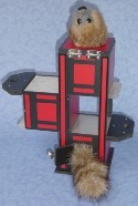 Zig Zag Raccoon