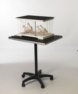 Cage à disparition de colombes professionnelle - Matinelli