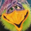 Vern the Bird (PRO) by Axtell