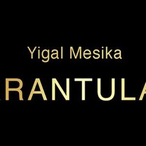 Tarantula II by Yigal Mesika