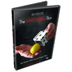 The Impossible Box par Ray Roch