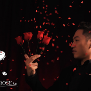 Y-Rose 2.0