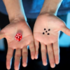 TF DICE